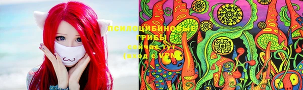 твердый Алзамай